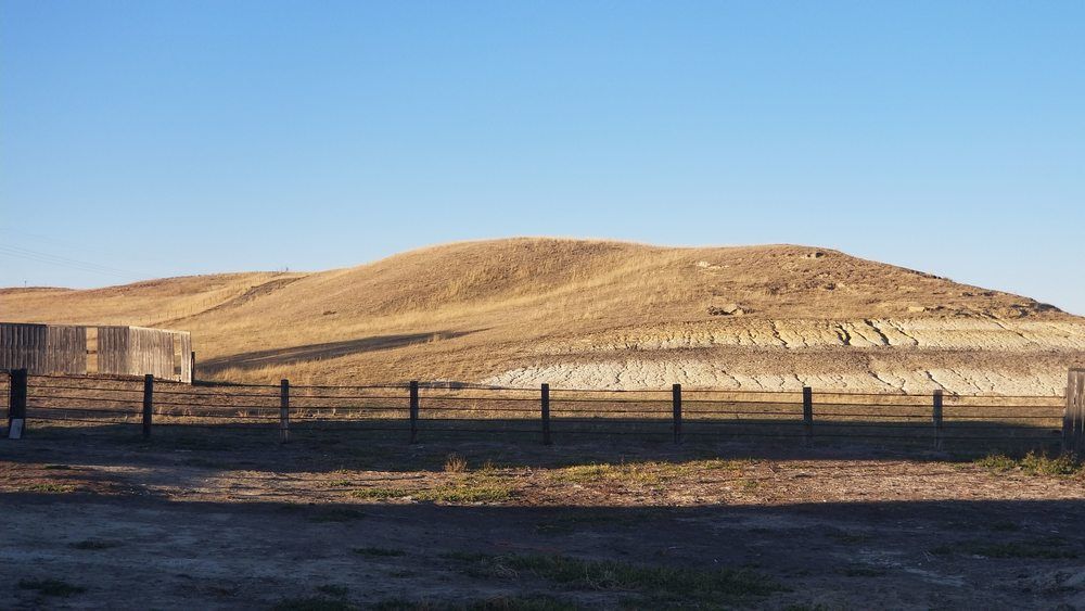 Montana Dream Property With Unlimited Options on 48+ Acres In Sidney: 12353 County Rd 348, Sidney, MT 59270